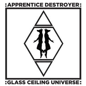 Glass ceiling universe